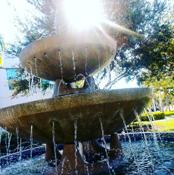 Meet your Posher, David - Picture 1 of 1